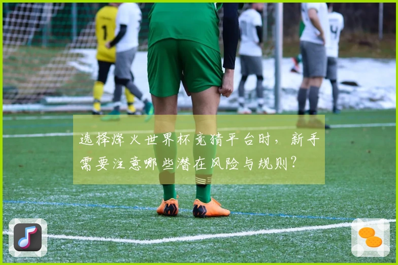 选择烽火世界杯竞猜平台时,新手需要注意哪些潜在风险与规则?