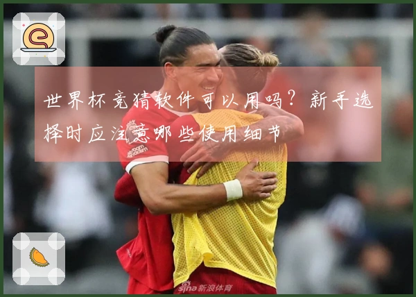 世界杯竞猜软件可以用吗？新手选择时应注意哪些使用细节