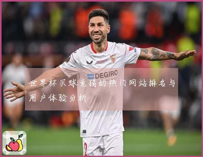 世界杯买球竞猜的热门网站排名与用户体验分析