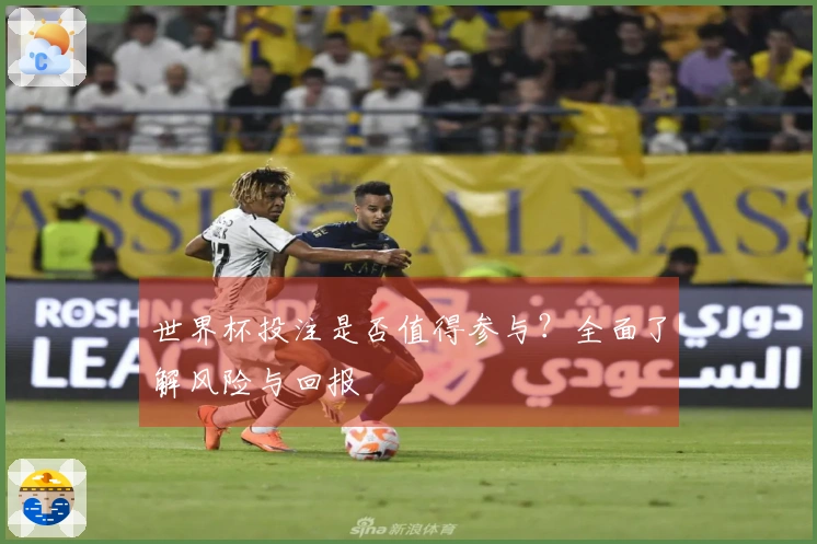 世界杯投注是否值得参与？全面了解风险与回报