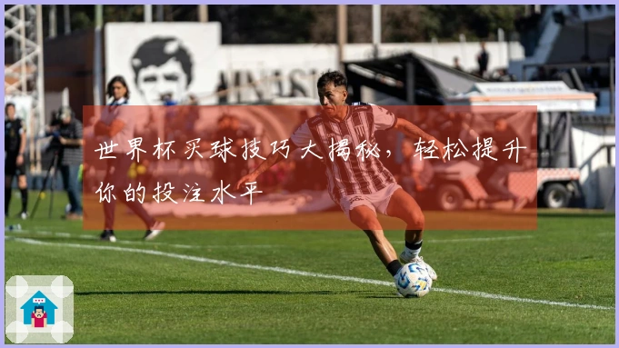 世界杯买球技巧大揭秘，轻松提升你的投注水平