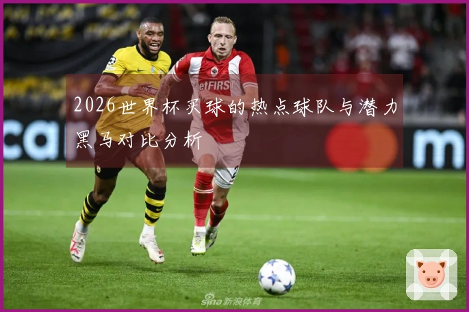 2026世界杯买球的热点球队与潜力黑马对比分析