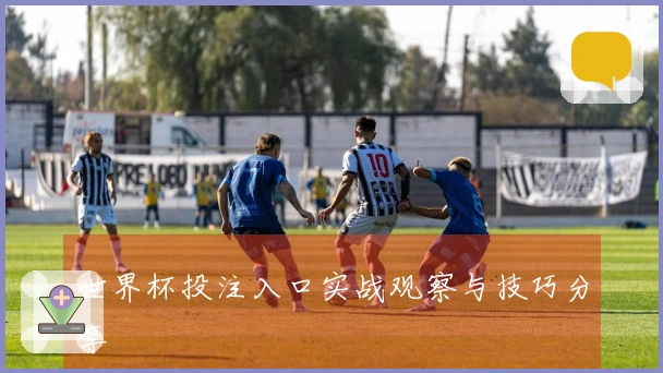 世界杯投注入口实战观察与技巧分享