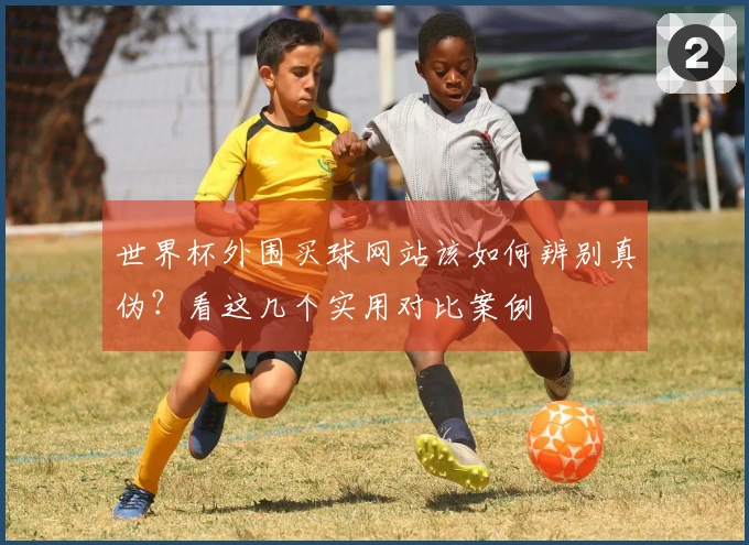 世界杯外围买球网站该如何辨别真伪？看这几个实用对比案例