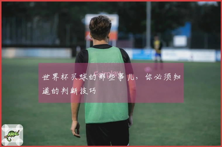 世界杯买球的那些事儿，你必须知道的判断技巧