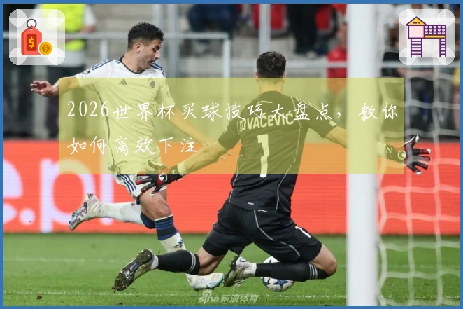 2026世界杯买球技巧大盘点，教你如何高效下注