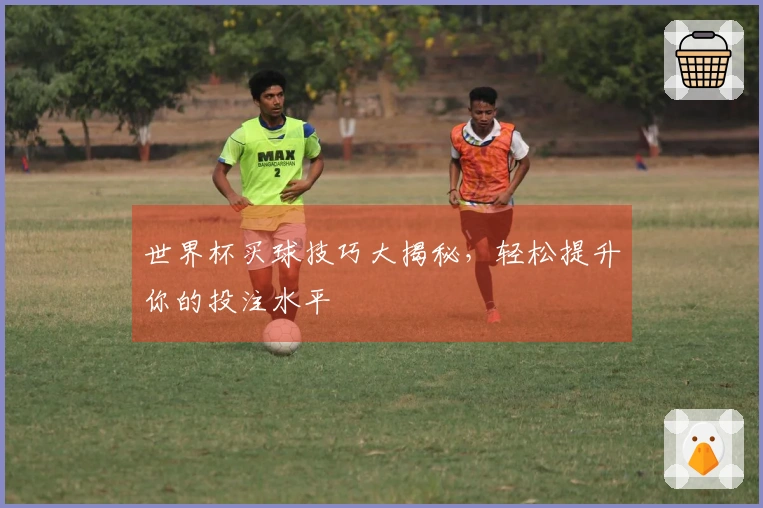 世界杯买球技巧大揭秘，轻松提升你的投注水平