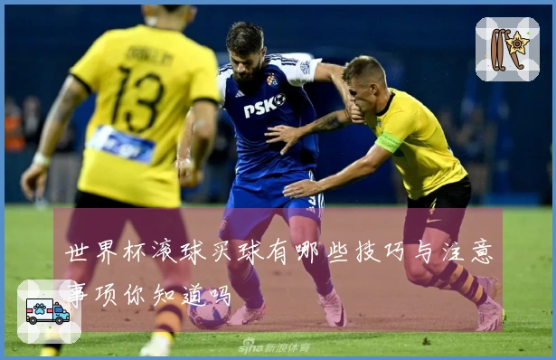 世界杯滚球买球有哪些技巧与注意事项你知道吗