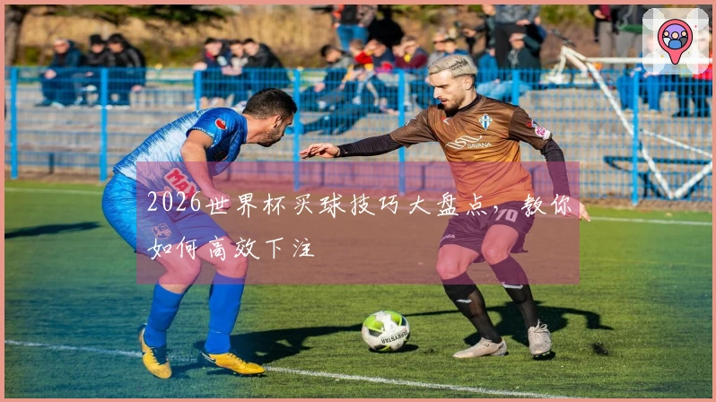 2026世界杯买球技巧大盘点，教你如何高效下注