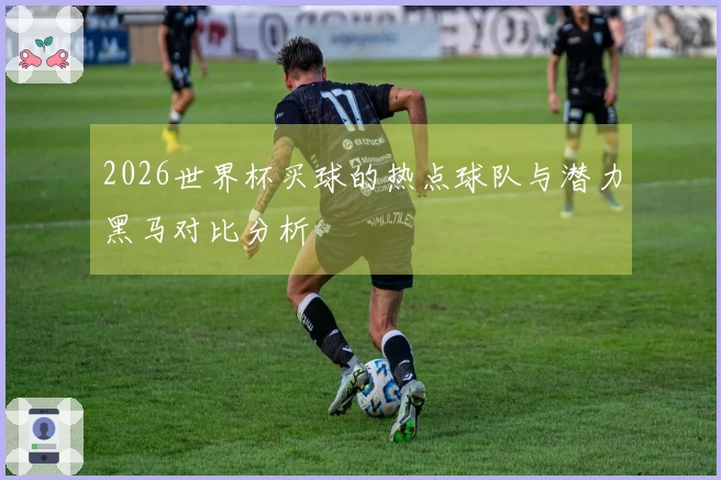 2026世界杯买球的热点球队与潜力黑马对比分析
