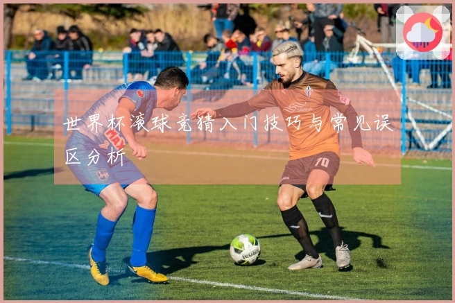 世界杯滚球竞猜入门技巧与常见误区分析